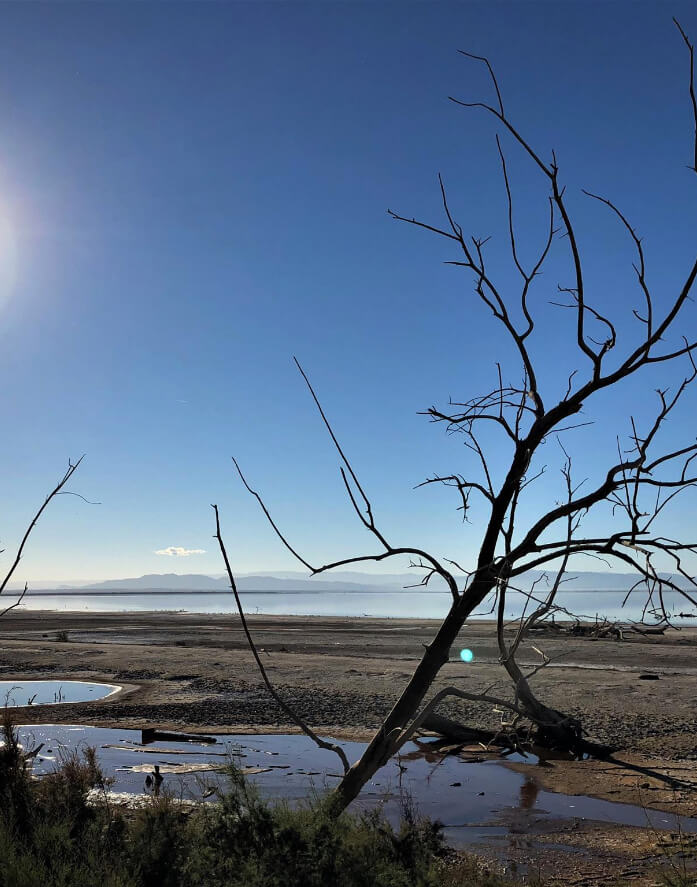 Salton Sea